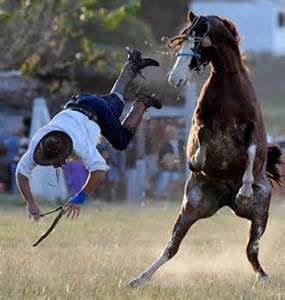 Politicada esperta está "caindo do cavalo" (Foto: UOL)