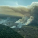 Emissão de gases de efeito estufa por queimadas cresce 60% na Amazônia